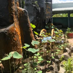 Vinh Long Cultural Park - Vinh Long