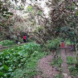 Vinh Long Fruit Orchards - Vinh Long