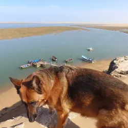Local Fishing Villages (Nearby) - Cape Bojador