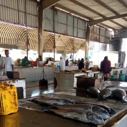 Al-Mukalla Fish Market - Al Mukalla