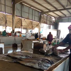 Al-Mukalla Fish Market - Al Mukalla