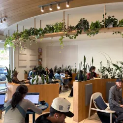 Local Coffee Shops - Bayt Al Faqih