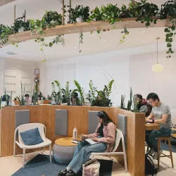 Local Coffee Shops - Bayt Al Faqih