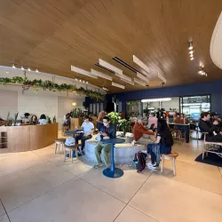 Local Coffee Shops - Bayt Al Faqih