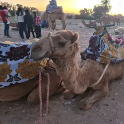 Local Handicraft Workshops - Bayt Al Faqih