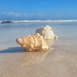 Nearby Coastal Areas - Bayt Al Faqih