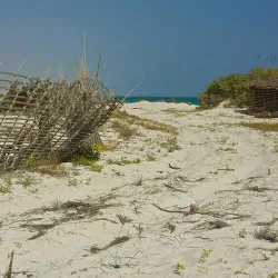 Nearby Coastal Areas - Bayt Al Faqih