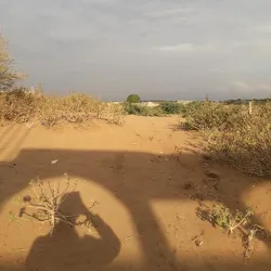 Surrounding Agricultural Areas - Bayt Al Faqih