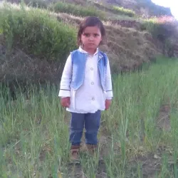 Surrounding Mountain Trails - Damar