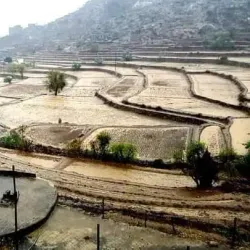 Old City of Ta'izz - Ta'izz