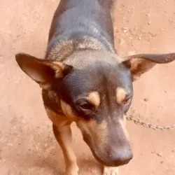 Chililabombwe Market - Chililabombwe