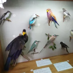 Copperbelt Museum - Chililabombwe