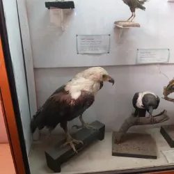 Copperbelt Museum - Chililabombwe