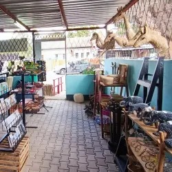 Local Art and Craft Shops - Chililabombwe