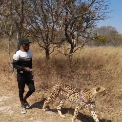 Local Chongwe Villages - Chongwe