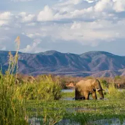 Lower Zambezi National Park - Chongwe