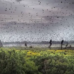 Nature Walks and Bird Watching - Kaputa