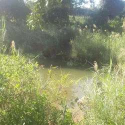 Chongwe River - Zimba