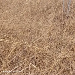 Chongwe River - Zimba