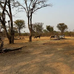 Mosi-oa-Tunya National Park - Zimba