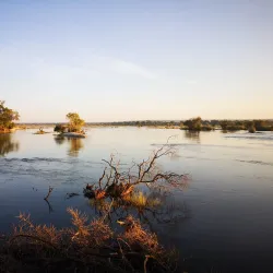 Zambezi National Park - Zimba