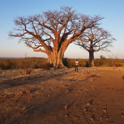 Zambezi National Park - Zimba