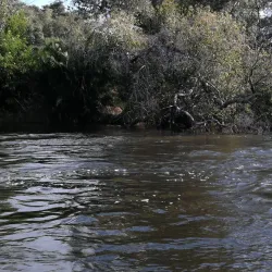 Zambezi River - Zimba