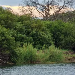 Zambezi River - Zimba