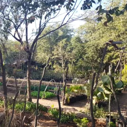 Beitbridge Community Cultural Events - Beitbridge