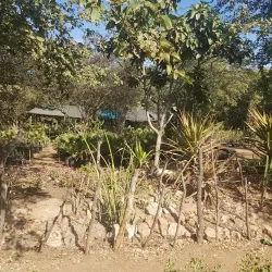 Beitbridge Community Cultural Events - Beitbridge