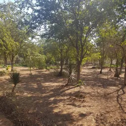 Beitbridge Community Cultural Events - Beitbridge