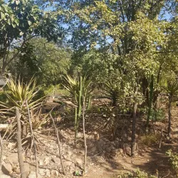 Beitbridge Community Cultural Events - Beitbridge