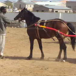 Beitbridge Community Cultural Events - Beitbridge