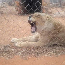 Beitbridge Fishing Spots - Beitbridge