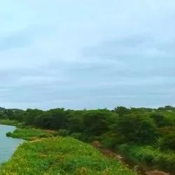 Limpopo River - Beitbridge