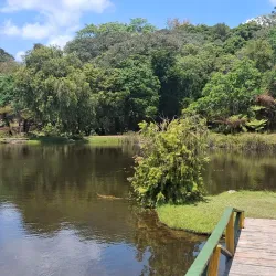 Bvumba Botanical Gardens - Chipinge