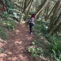 Bvumba Botanical Gardens - Chipinge