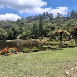 Bvumba Botanical Gardens - Chipinge