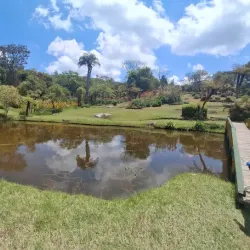 Bvumba Botanical Gardens - Chipinge