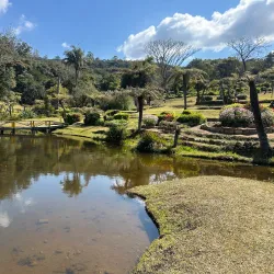 Bvumba Botanical Gardens - Chipinge
