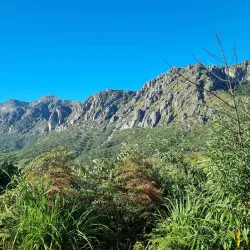 Chimanimani Mountains - Chipinge