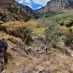 Chimanimani Mountains - Chipinge