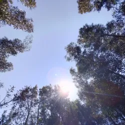Chimanimani National Park - Chipinge