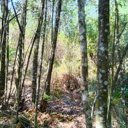 Chimanimani National Park - Chipinge