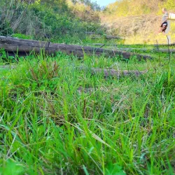 Chimanimani National Park - Chipinge