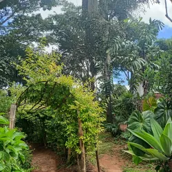 Chipinge Museum - Chipinge