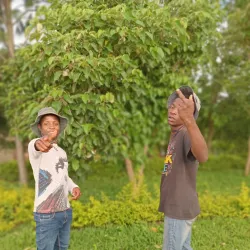 Chipinge Museum - Chipinge