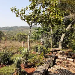 Chipinge Museum - Chipinge