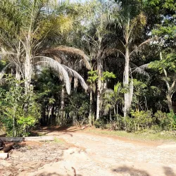 Chipinge Museum - Chipinge