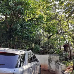 Chipinge Museum - Chipinge